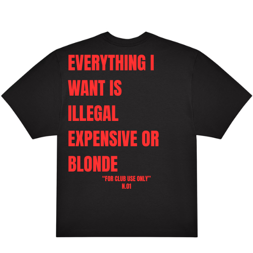 EVERYTHING I WANT IS ILLEGAL EXPENSIVE OR BLONDE N.01